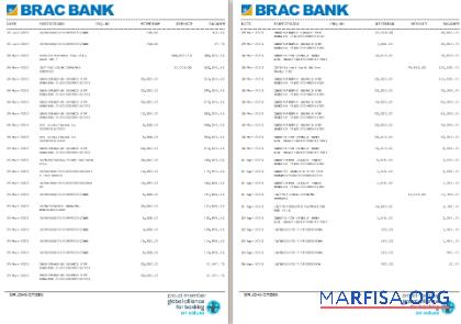 Blank Bangladesh BRAC bank statement word 5 6 pages example